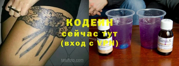мдпв Осинники