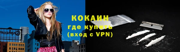мдпв Осинники