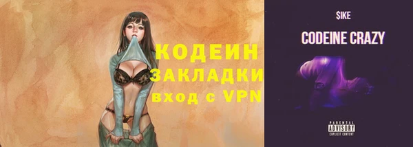 мдпв Осинники