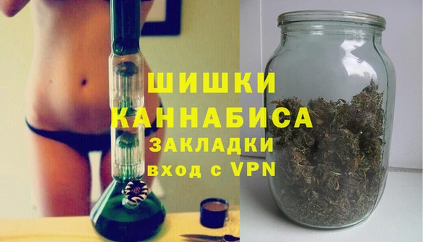 мдпв Осинники