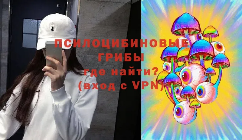 Галлюциногенные грибы Cubensis Поронайск